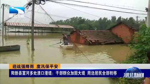 漫堤处加固后的照片