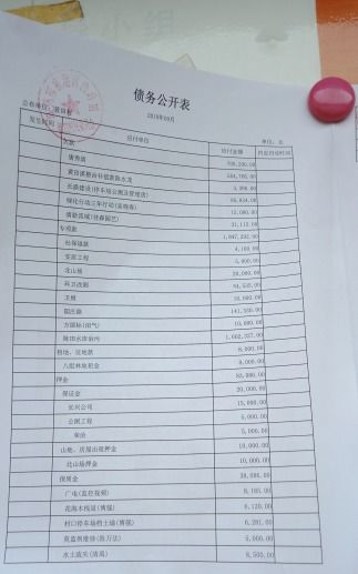 欠债博主网上记录还债历程，分享还债攻略