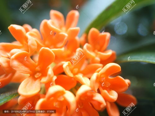 立秋：秋天第1个节气，开启收获之旅