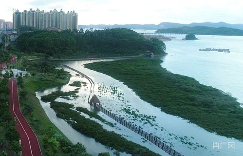 防城港市防城区领导职务调整引关注