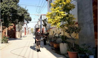 整洁美丽的社区环境