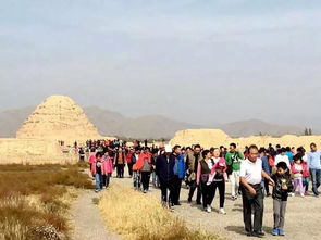 游客参观西夏陵