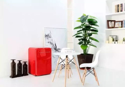 环保型家居产品展示