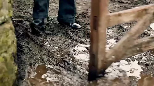 习近平寄语改革创新：勇攀科技高峰