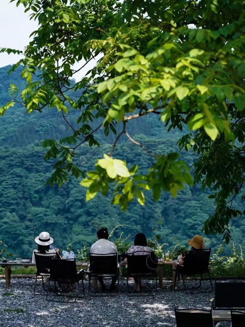 琥珀流光风下的草地光影