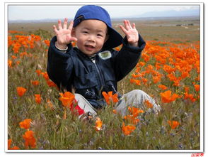 和侄子愉快玩耍