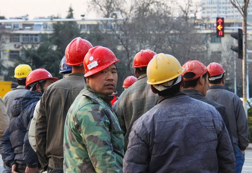 震惊！工人上厕所竟成猎物遭枪击身亡，背后真相令人深思