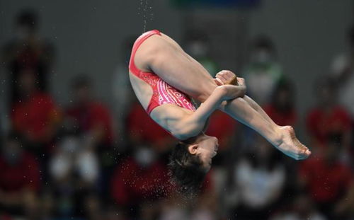 跳水女皇高敏论全红婵体重变化，背后真相令人深思！