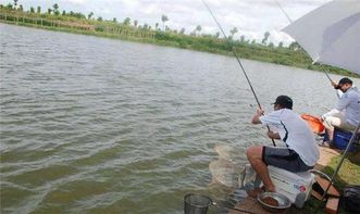 钓友们交流钓鱼技巧的热闹场景