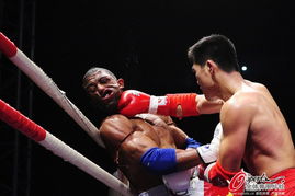 马库斯：真诚向中国人民道歉背后的故事