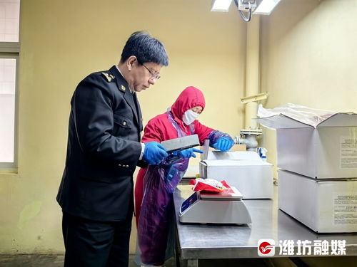 外贸强劲！7月增速创新高，前7个月进出口总值超25万亿