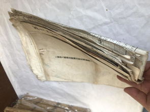 叉车司机一句话，牵出两亿大案背后的惊天秘密！