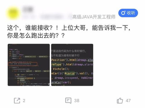GPT - 5模型：编码与写作的新神器！