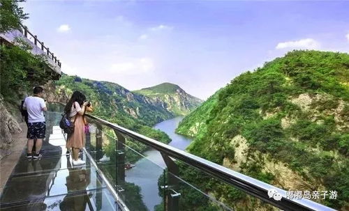 小孩踩空玻璃栈道惊魂！景区回应来了