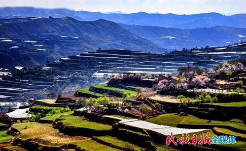 甘肃临夏强降雨引发山洪，村民被困惊险时刻