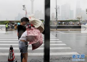 游客在雨中等待