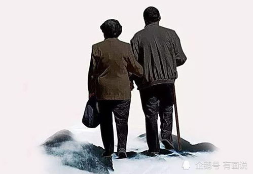 食贫道卧底韩国邪教，揭露惊人内幕！