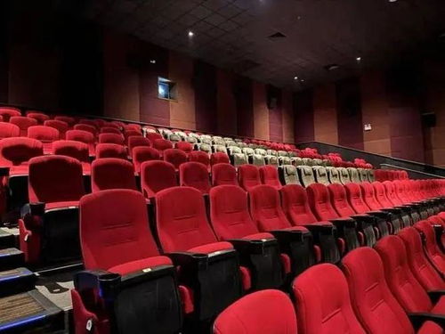 电影院座椅虫卵