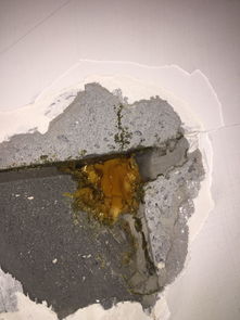 长沙一小区惊现致命隐患！21岁女子被外墙脱落水泥砸死