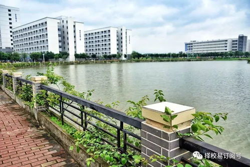 民办本科：有人反超985，有人却招不满生源