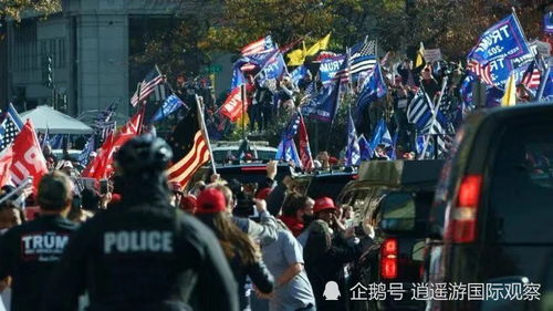 武大杨某与辅导员录音流出，校方竟成帮凶？