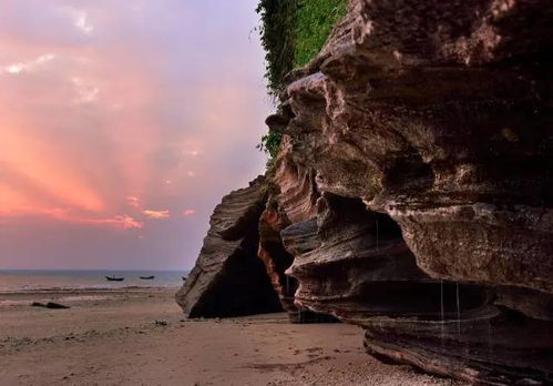 陶白白前妻否认离婚为上《再见爱人》，背后真相令人深思