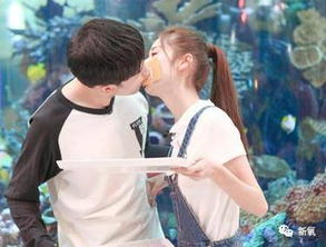 付辛博可能参演新剧的相关传闻截图