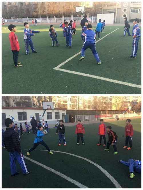 训练营中的基础体能训练场景