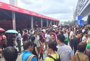 抢购茅台纪念酒