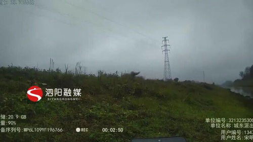 重庆钓鱼悲剧：博主谈二娃溺亡，当地回应细节令人揪心