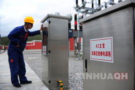 中国女子东京大学烟囱坠亡事件深度剖析