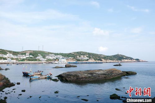 管虎导演：从《东极岛》到微博电影之夜的传奇之旅