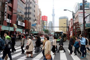 震惊！日本男女竟与尸体同住15个月，背后真相令人咋舌