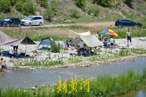 男子河道赶海一月，竟捡上万双鞋花！