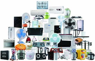 数说以旧换新：多重效应下的消费盛宴