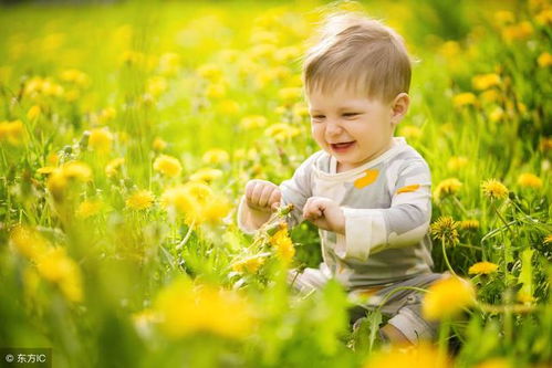 重大举措：多方助力家庭福祉，惠及千万家庭