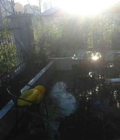 男子离家3月归来，院子惊现8个大西瓜，背后故事真奇妙