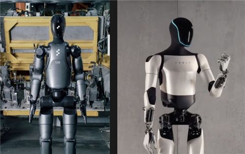 人形机器人展示