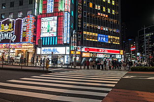 马斯克惊人预言：日本人口危机迫在眉睫