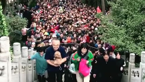 人群在大楼前合影