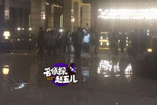 那英被粉丝围堵怒喊求救，明星何时能有自己的私人空间？