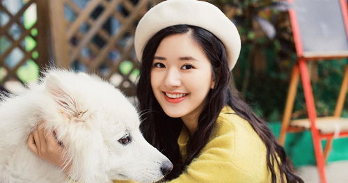 三一集团豪横！许愿请赵露思开挖掘机，背后故事太精彩