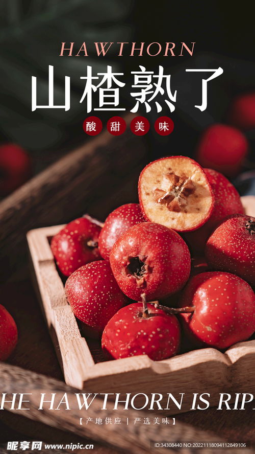 红果短剧相关宣传海报