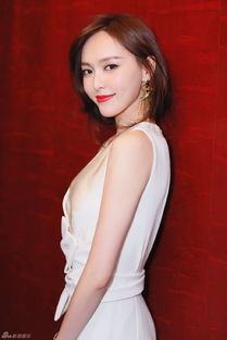 县财政局长付雪海：漂白3次犯罪记录的霸道仕途之路