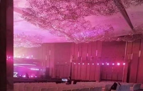 刺激之夜现场布置图