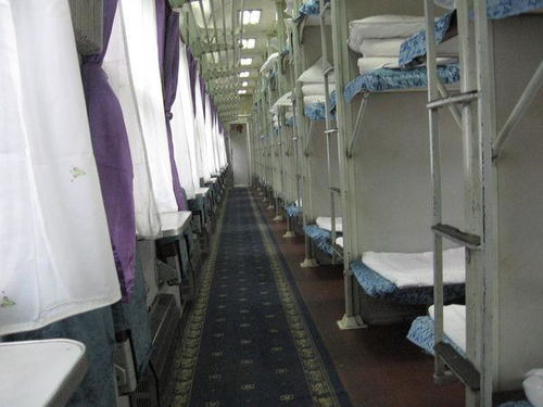 列车卧铺惊现床虱！乘客一夜未眠，12306紧急回应