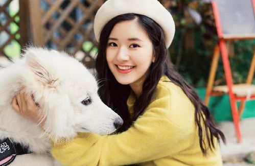 赵露思坐轮椅去医院