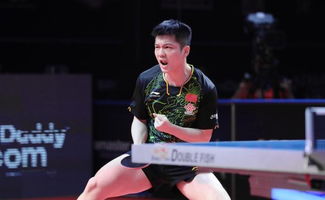 国乒队员庆祝胜利