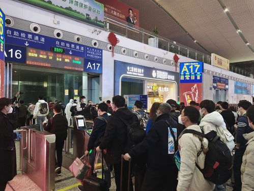 深圳北站客流高峰