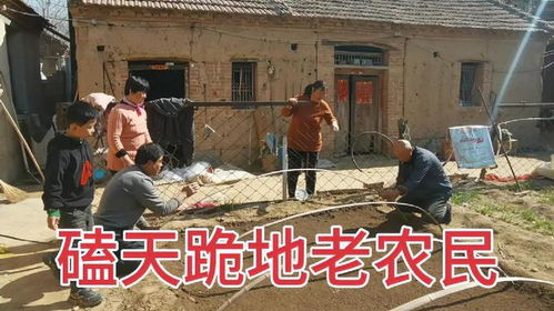 远亲不如近邻？现实中的邻里情谊真这么重要吗?